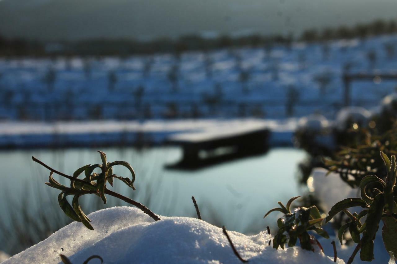 Fattoria San Paolo Agriturismo Montecastelli Pisano Zewnętrze zdjęcie